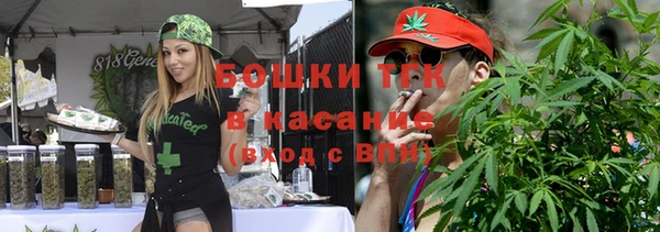 дурь Алексин