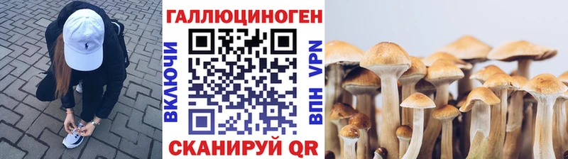 МЕГА tor  Сясьстрой  Галлюциногенные грибы Psilocybe  что такое  