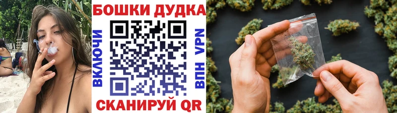 Бошки марихуана план  Сясьстрой 